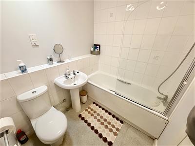 Picture 8